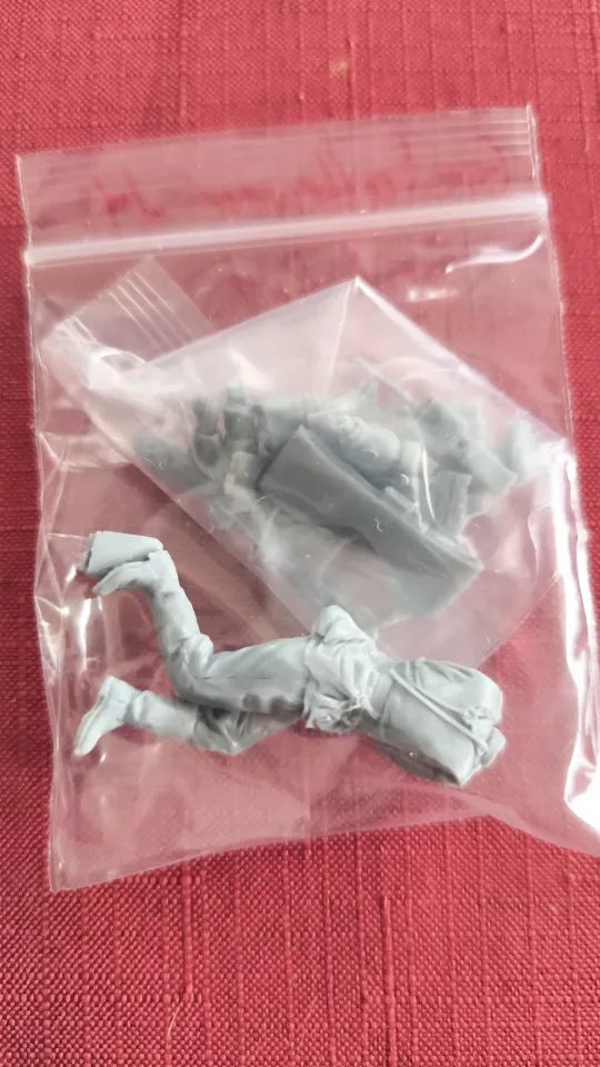 Buyer photo of this resin kit