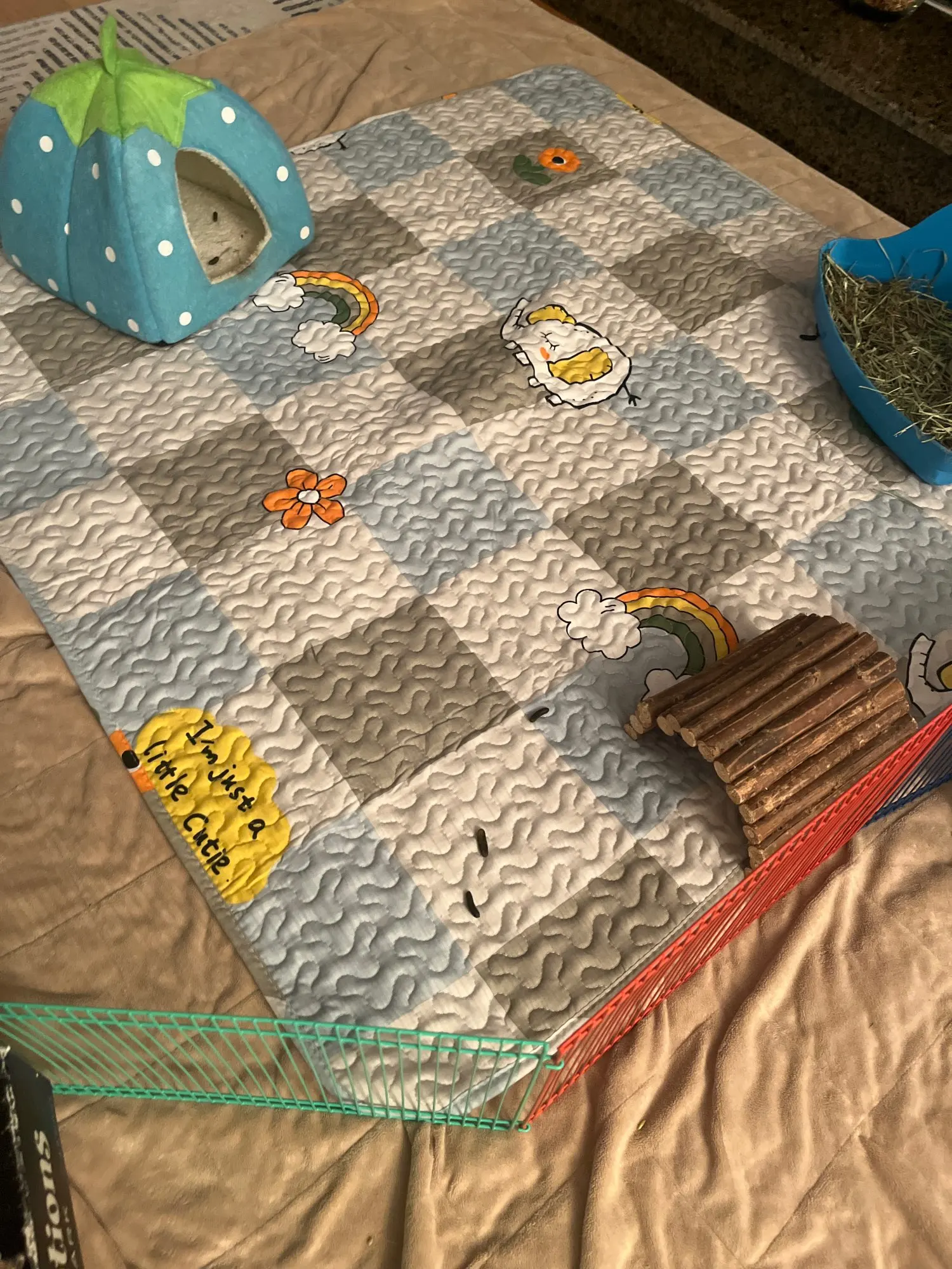 Review image 1
