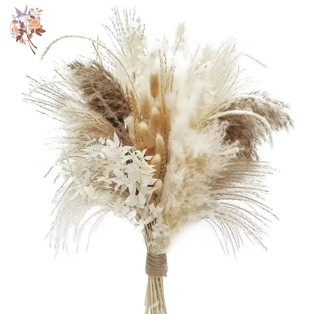 

Pampas Grass Natural Dried Flowers Bouquet Boho Home Decor Pompous Reeds Bunny Tails Wheat Stalk Wedding Arrangement Decoration