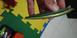 Imagen de reseña 3