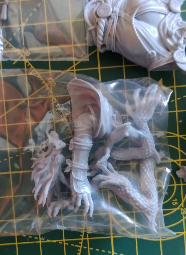 Buyer photo of this resin kit