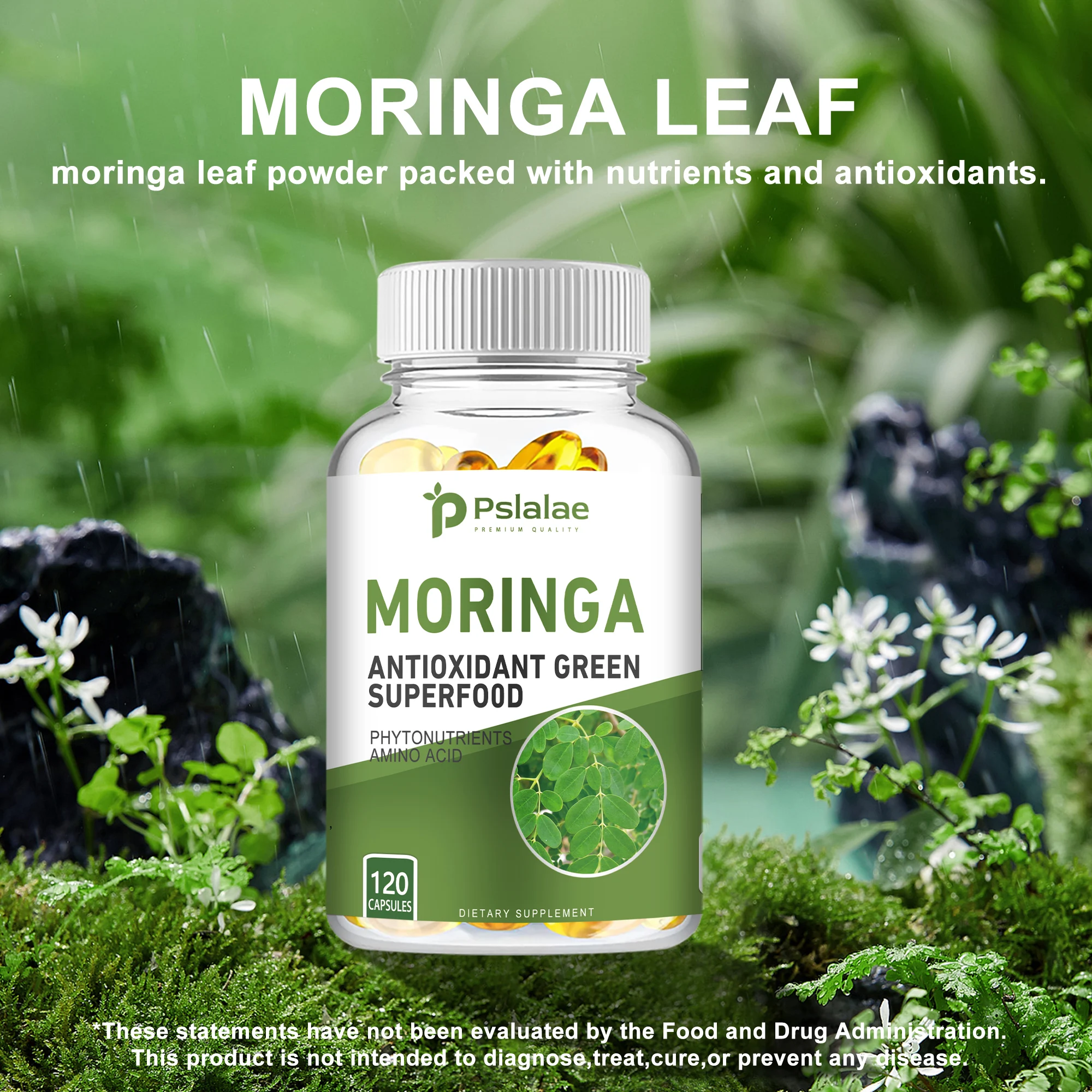 Moringa Capsules 1000mg - for Immune System, Energy & Metabolism, Antioxidant - 120 Capsules