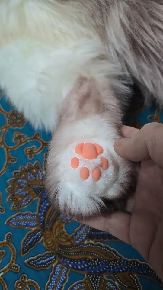 실물 포토 리뷰
