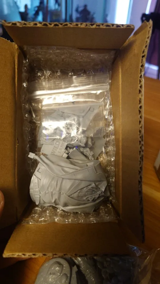 Buyer photo of this resin kit