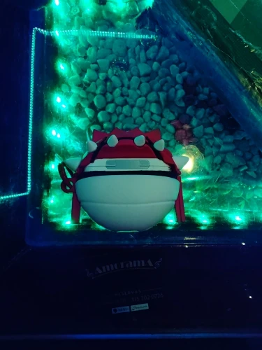 Foto de reseña de cliente