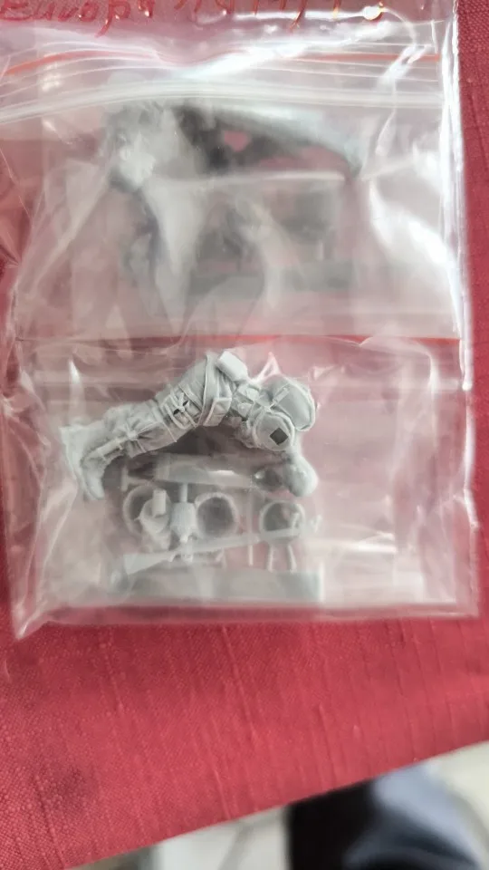 Buyer photo of this resin kit