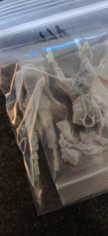 Buyer photo of this resin kit