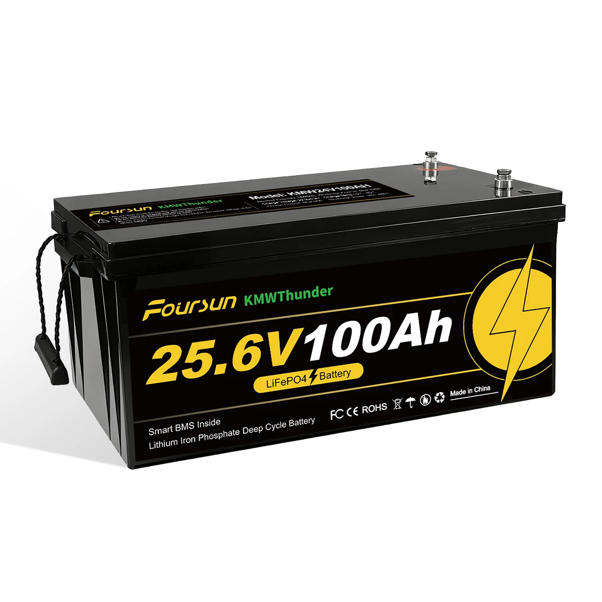 Foursun 24V 100Ah LiFePO4 Batterie mit Niedertemperatur-BMS-Schutz, 4500+ Zyklen für Wohnmobil/Solar/Camping