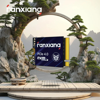 Fanxiang M.2 SSD Hard Disk 500GB 1TB 5000MB/s NVMe M.2 2230 SSD PCIE4.0 Internal Solid State Drive EU US Local Delivery S700