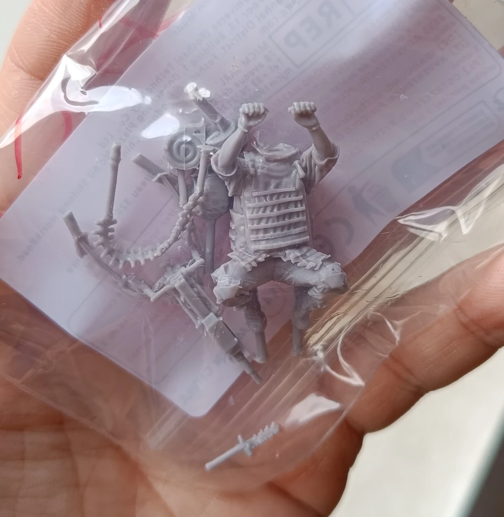 Buyer photo of this resin kit