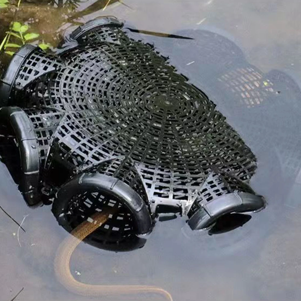 8 holes of Eels/howl shrimp fish fishing