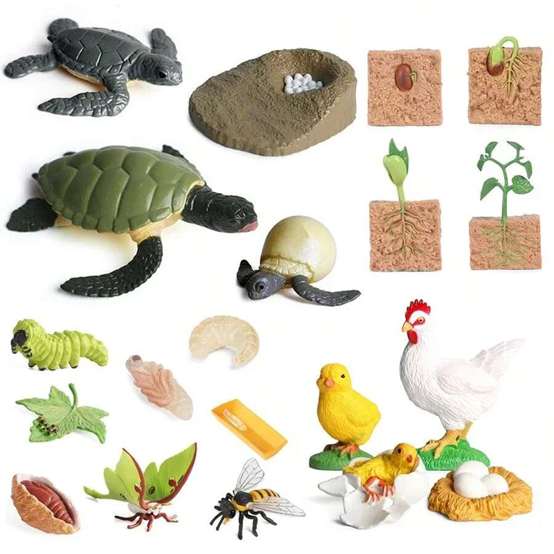 AliExpress IFITU PUBO 4pcs Mini Animal Plant Growth Cycle Tabletop Ornaments Plastic ABS Growth Process Model Family