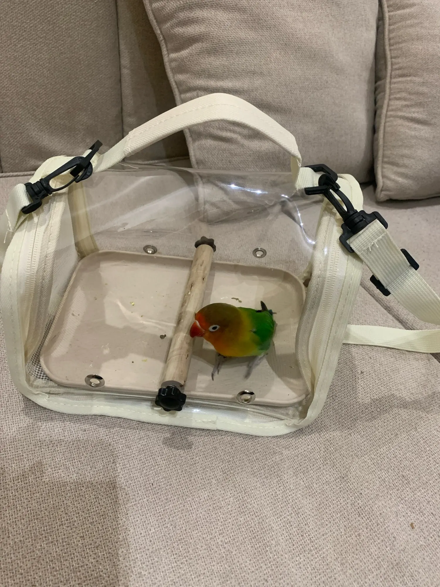 Review image 1