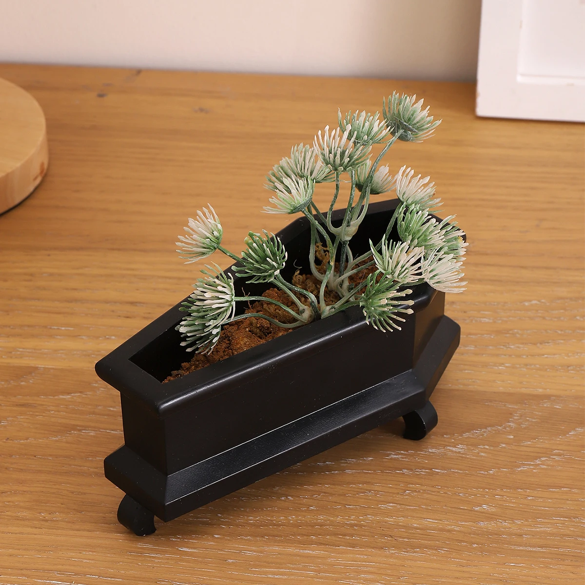 Mini fioriera per bara, suppor - Snake Plant Ceramic recensione e prezzo