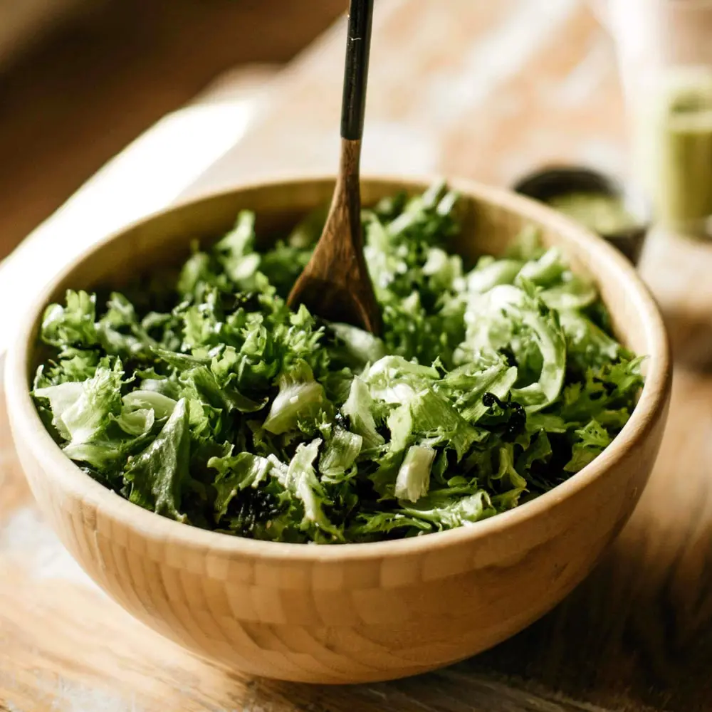 [السلطة العضوية] السلطة العضوية الأوروبية 6-8 أنواع من الزبدة والخس والخس الروماني 1 كجم