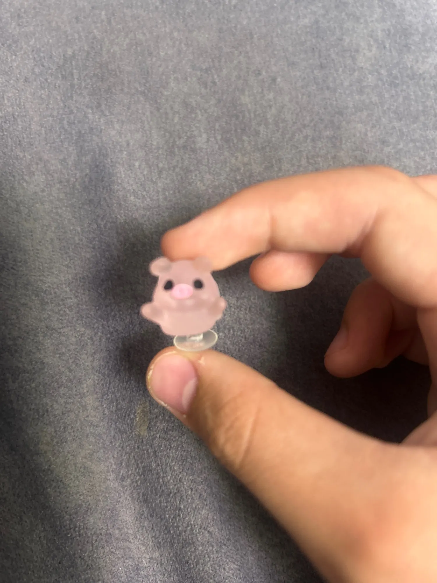 실물 포토 리뷰
