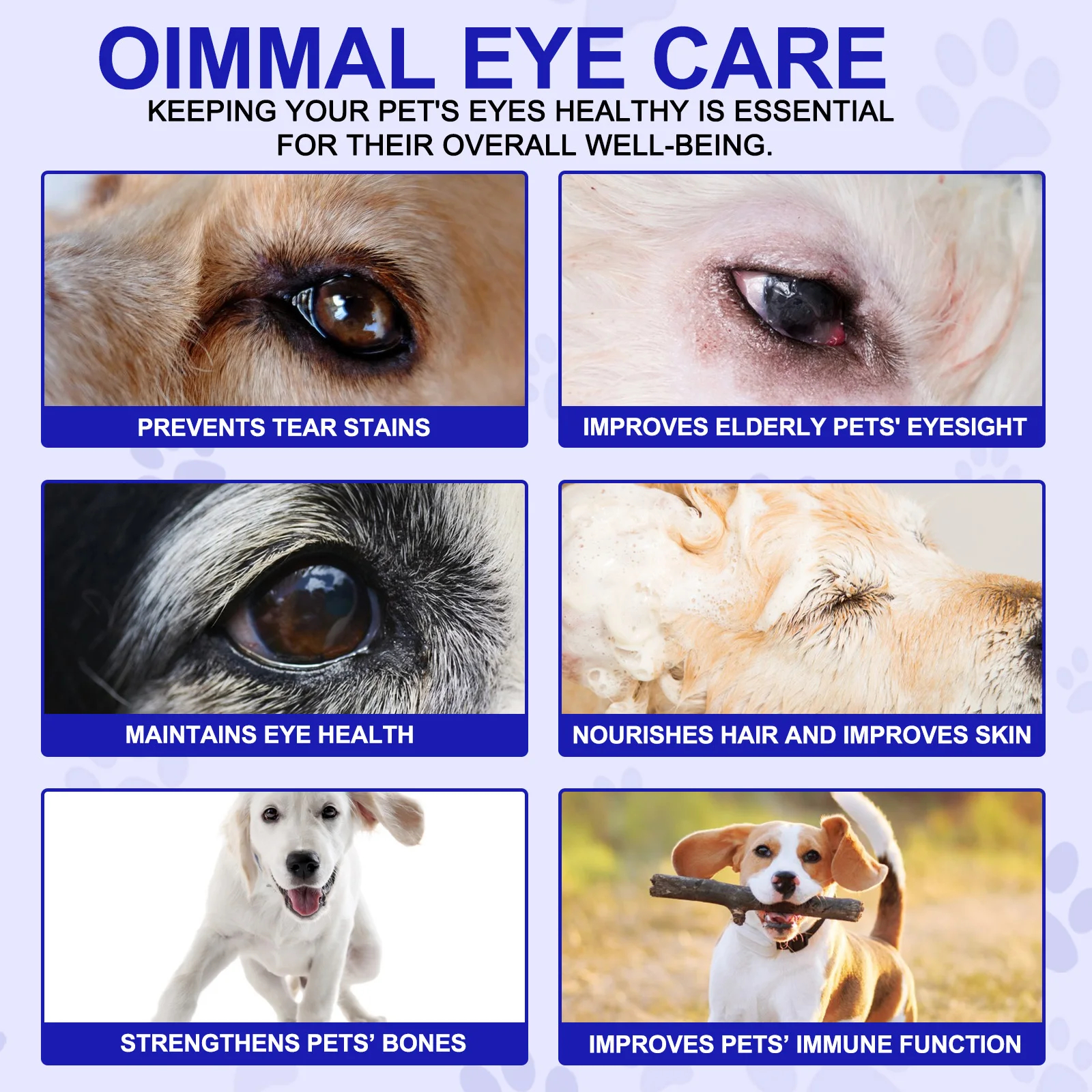 EYE CARE VISION HEALTH SUPPORT For Dogs Promotes Bright & Clear Vision Supports Ocular Health Antioxidant Support Boosts Immune