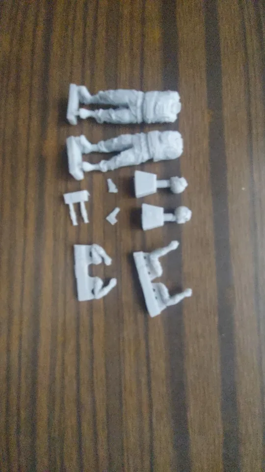 Buyer photo of this resin kit