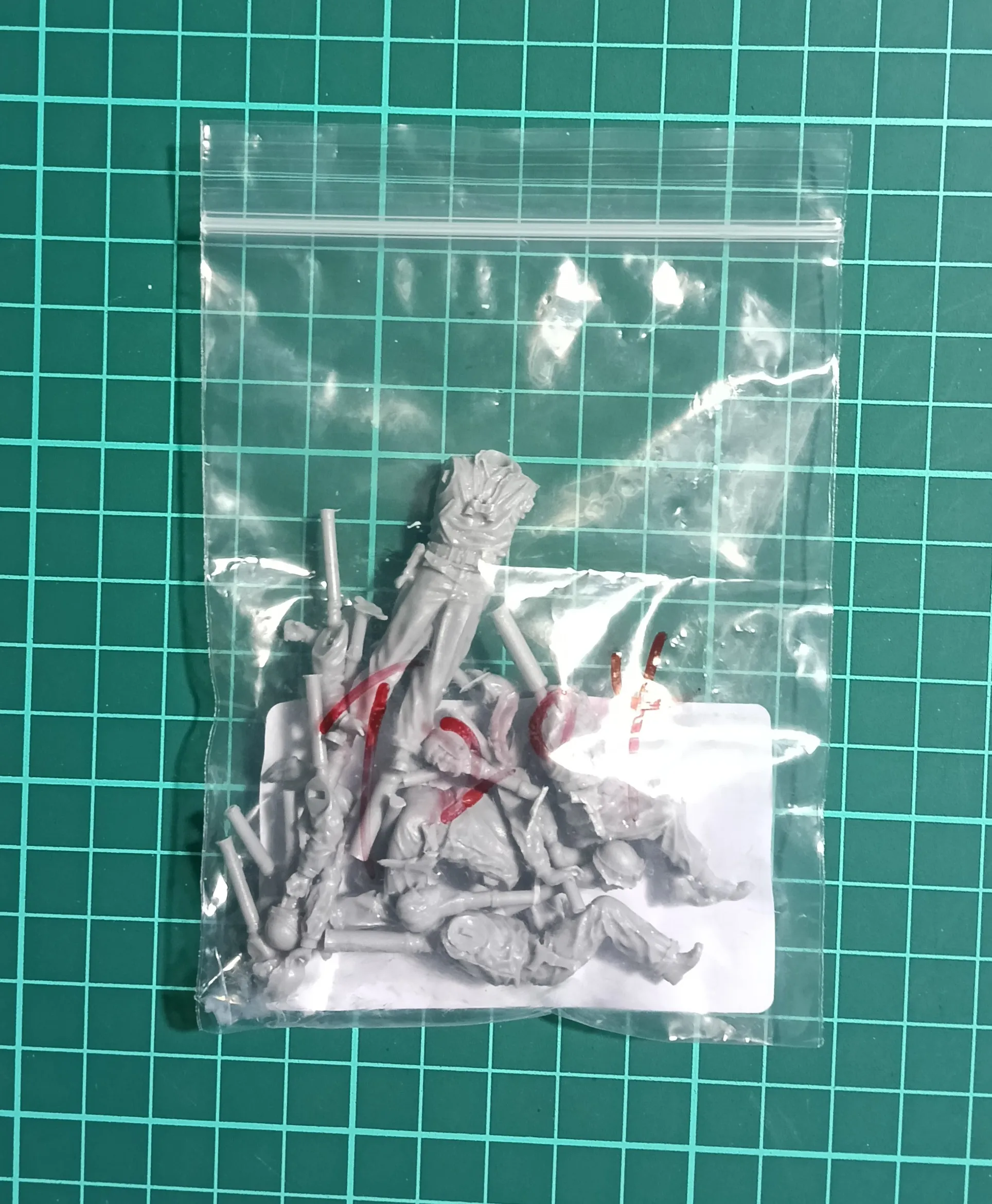 Buyer photo of this resin kit