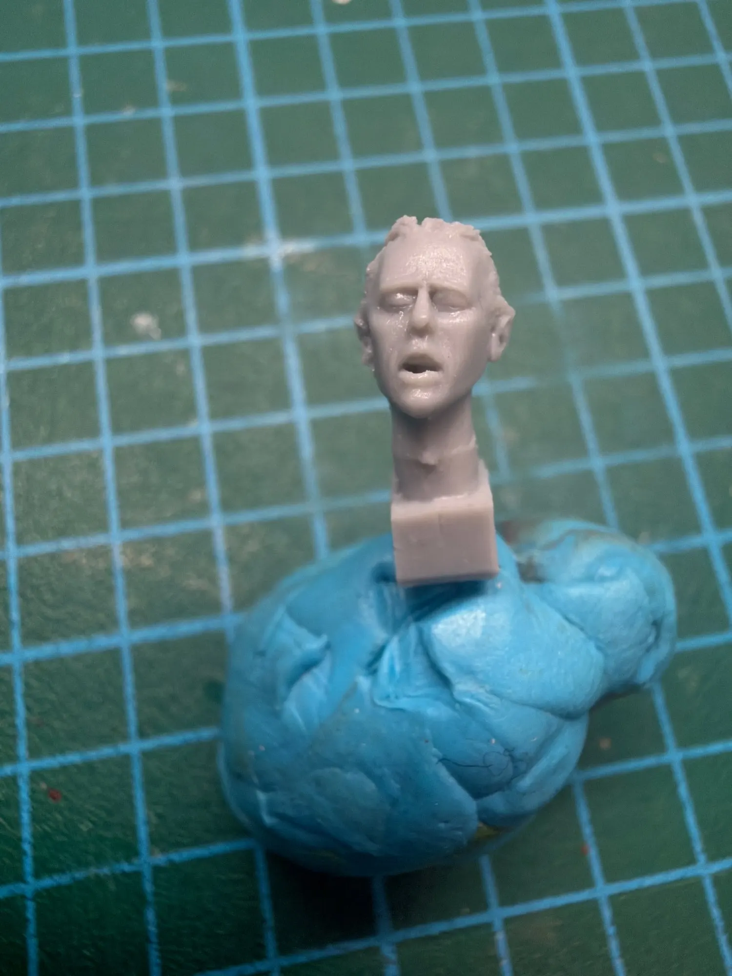 Buyer photo of this resin kit