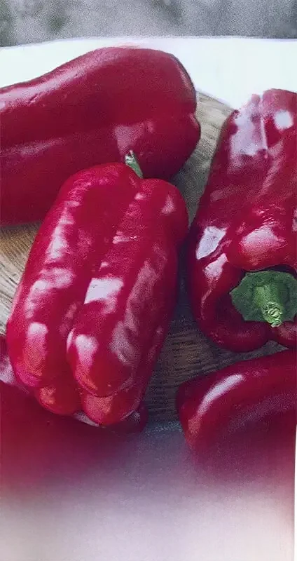 Poivre de Fatima 0,5g graines de poivre végétal VegAna