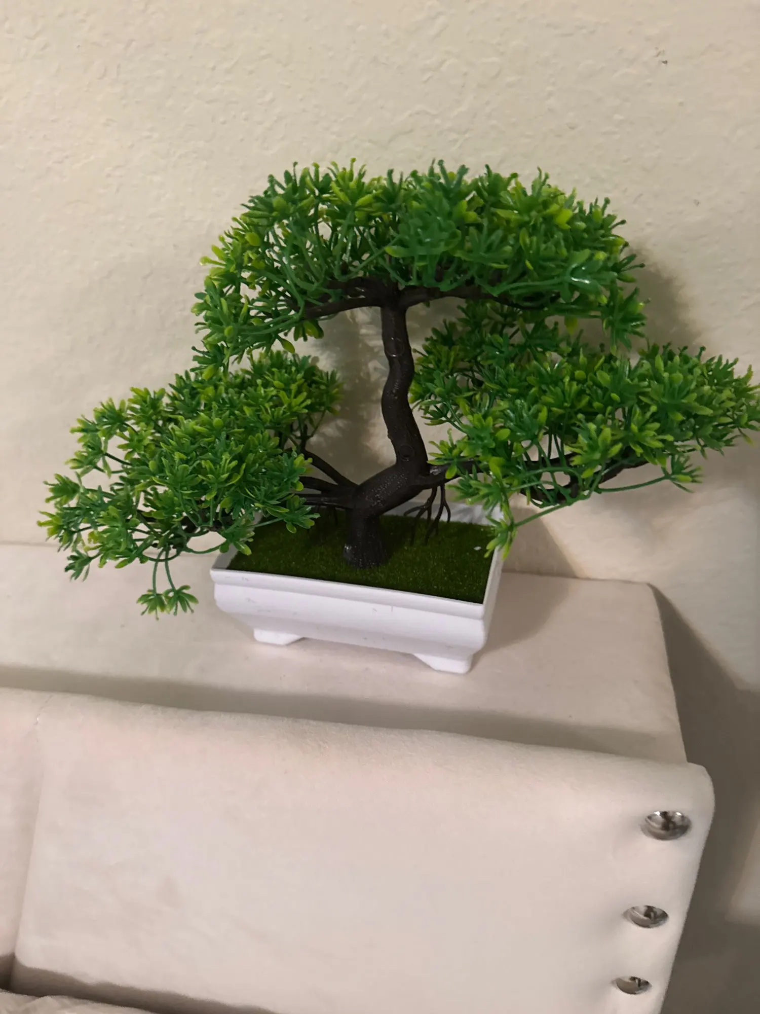 Customer photo