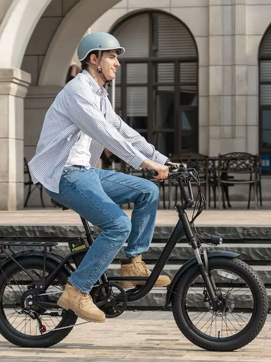 URLIFE E20 Elektrische Fiets 48V 13AH 1000W Volwassen Elektrische Fiets met LED Display 7 Versnellingen 20*3 Inch All-Terrain E-bike - afbeelding 2