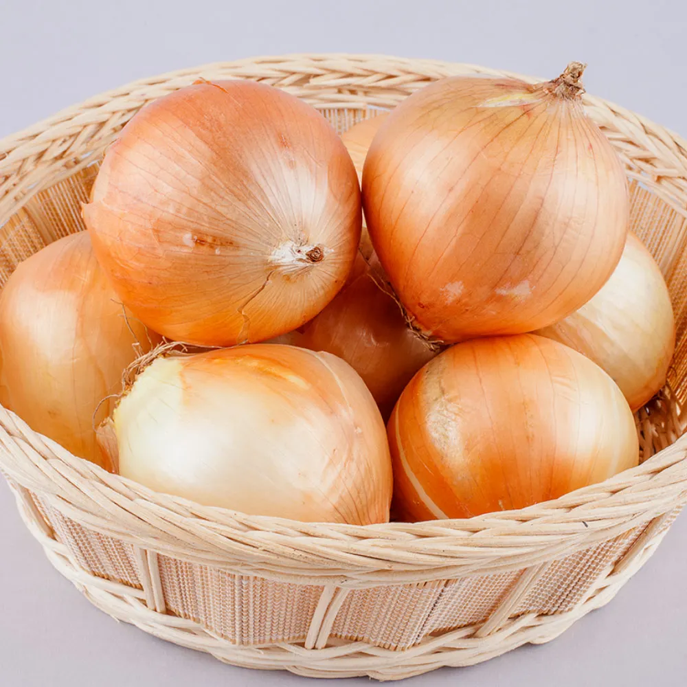 [حديقة الجيش] قبعة بصل محلية الصنع 3 كجم 5 كجم