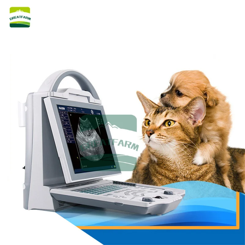 

Dog Laptop Ultrasound Pet Sonar Scanner Canine Uterus Cat Pregnancy Testing Fetus LED Screen Laptop Disease Pet Hospital New