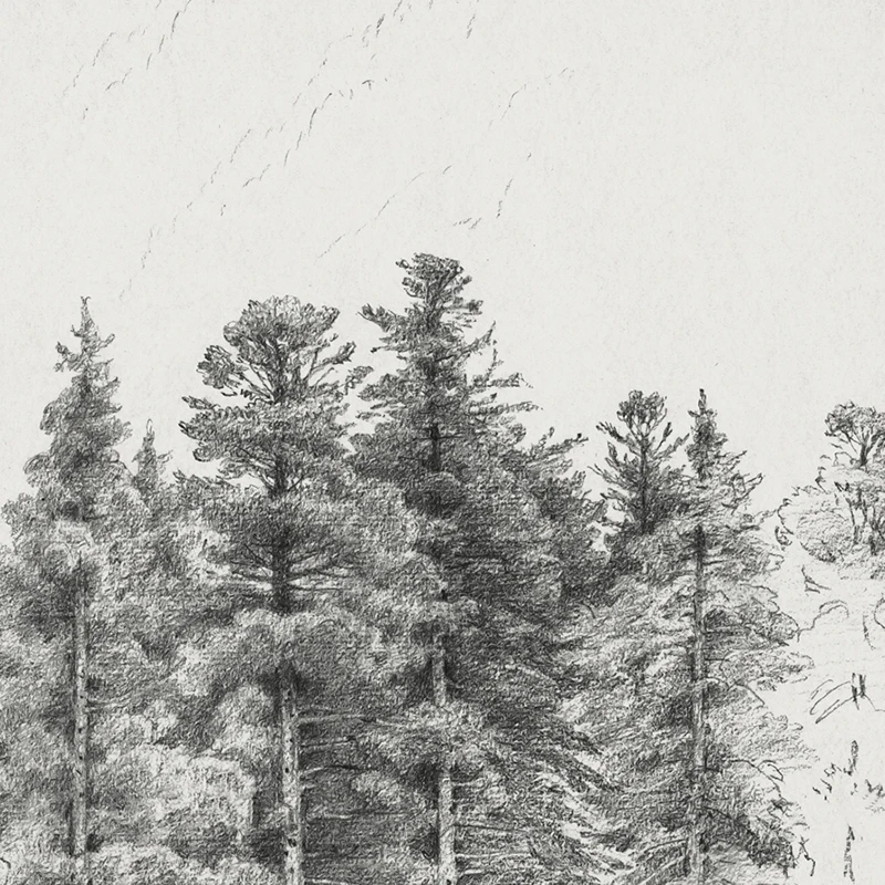 Neutral Tree Sketch Prints Vintage Pine Tree Pencil Drawing Canvas Poster, Retro Architecture Sketch Art Painting Rustic Decor