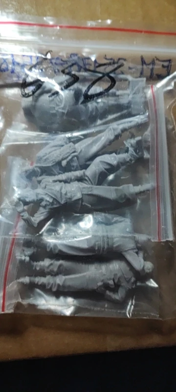 Buyer photo of this resin kit