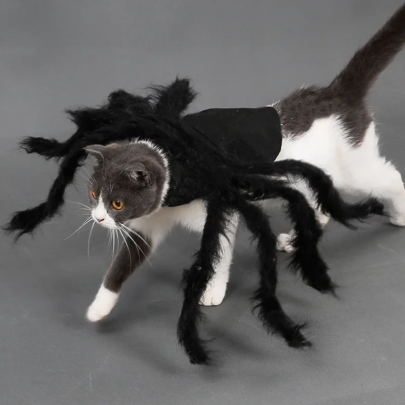 NONOR Halloween ubranka dla psów i kotów Pet Cosplay zabawny kostium pająka kostiumy na Halloween dla małych średnich psów kostiumy dla kotów — zdjęcie 2