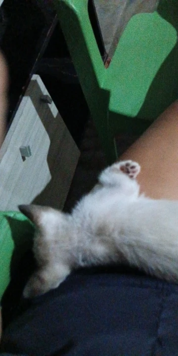 구매후기