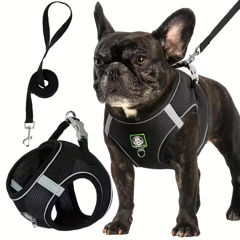 #60 Cheapest LED Dog Collars Deals You Can Get