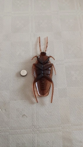 실물 포토 리뷰