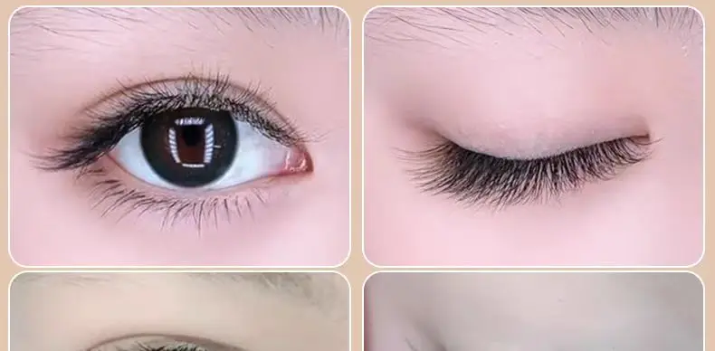 MARIA 2D Y-Form Wimpern, Premium 2D-Wimpern, Weiche, Leichte, Natürliche Wimpernverlängerungen, Make-up-Zubehör, Netz-Wimpern – Detail 7