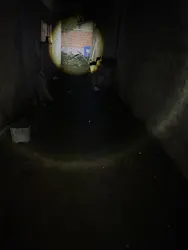 Imagen de reseña 2