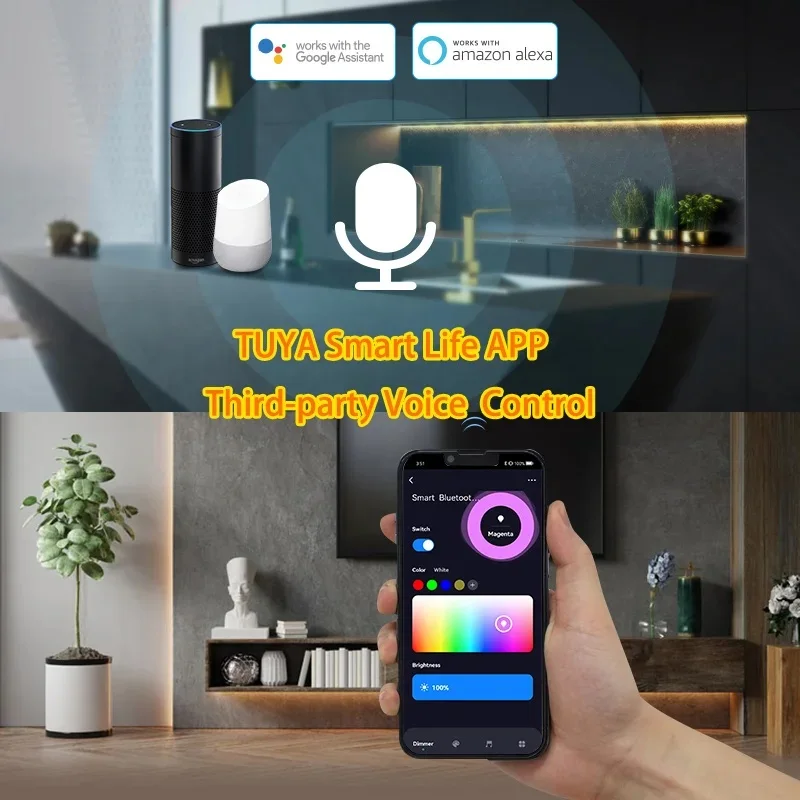 Tuya WiFi BT Controller LED Bluetooth DC12-24V Alexa Google Home Controllo vocale RGB RGBW CCT Striscia LED Smart Dimmer RF Remote