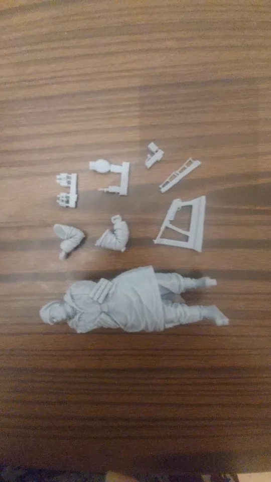 Buyer photo of this resin kit