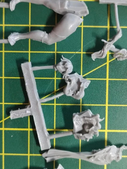 Buyer photo of this resin kit