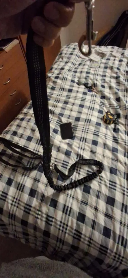 Customer review photo for Hands-Free Bungee Dog Leash with Adjustable Waist Belt
