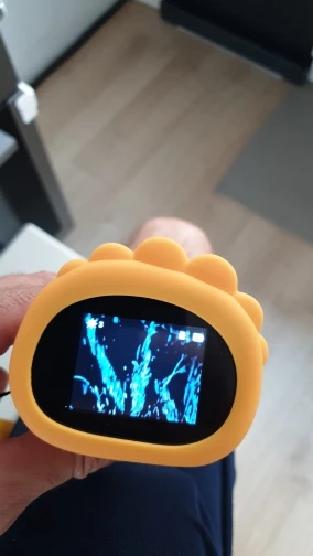 Review image