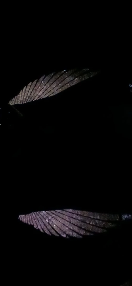 리뷰 사진
