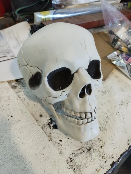 Halloween Skull Decoration,Realistic Plastic Skull,Head Skeleton,Halloween Party Home Yard Decoration,Haunted House Horror Props photo review