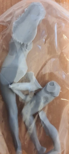 Buyer photo of this resin kit