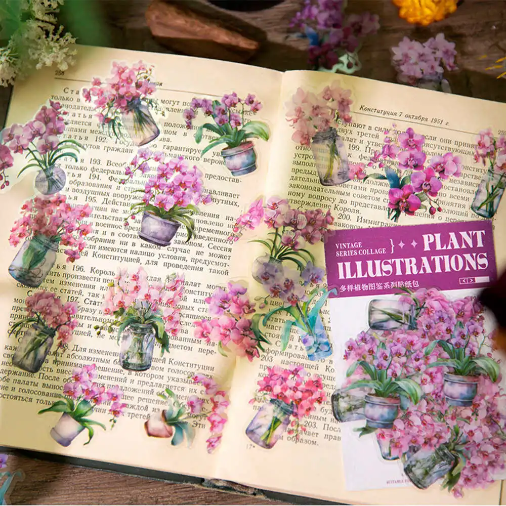 Imagem -05 - Adesivos com Maranta Traça Orquídeas Suculentas Pothos Padrões de Lavanda para Scrapbook Planejadores Calendários 180 Pcs