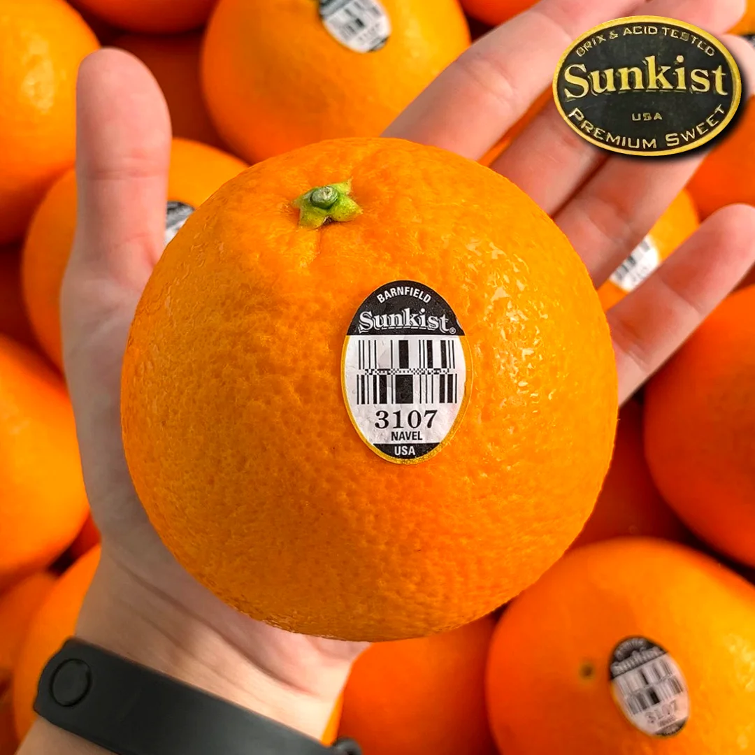 [Premium] High-sugar Sunkist Black Label Orange 10 (150g each)