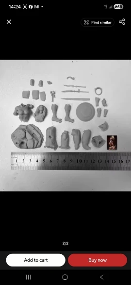 Buyer photo of this resin kit
