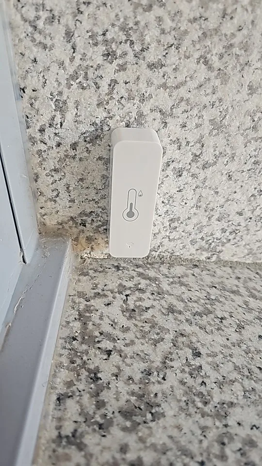 리뷰 사진
