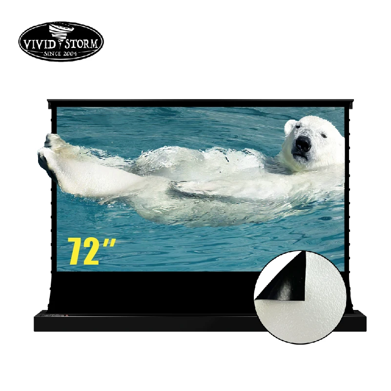 

VIVIDSTORM 72 Inch Electric Floor Screen Pearlescent White Cinema Plu Ambient Light Rejecting for Normal Projector